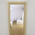Teo *
